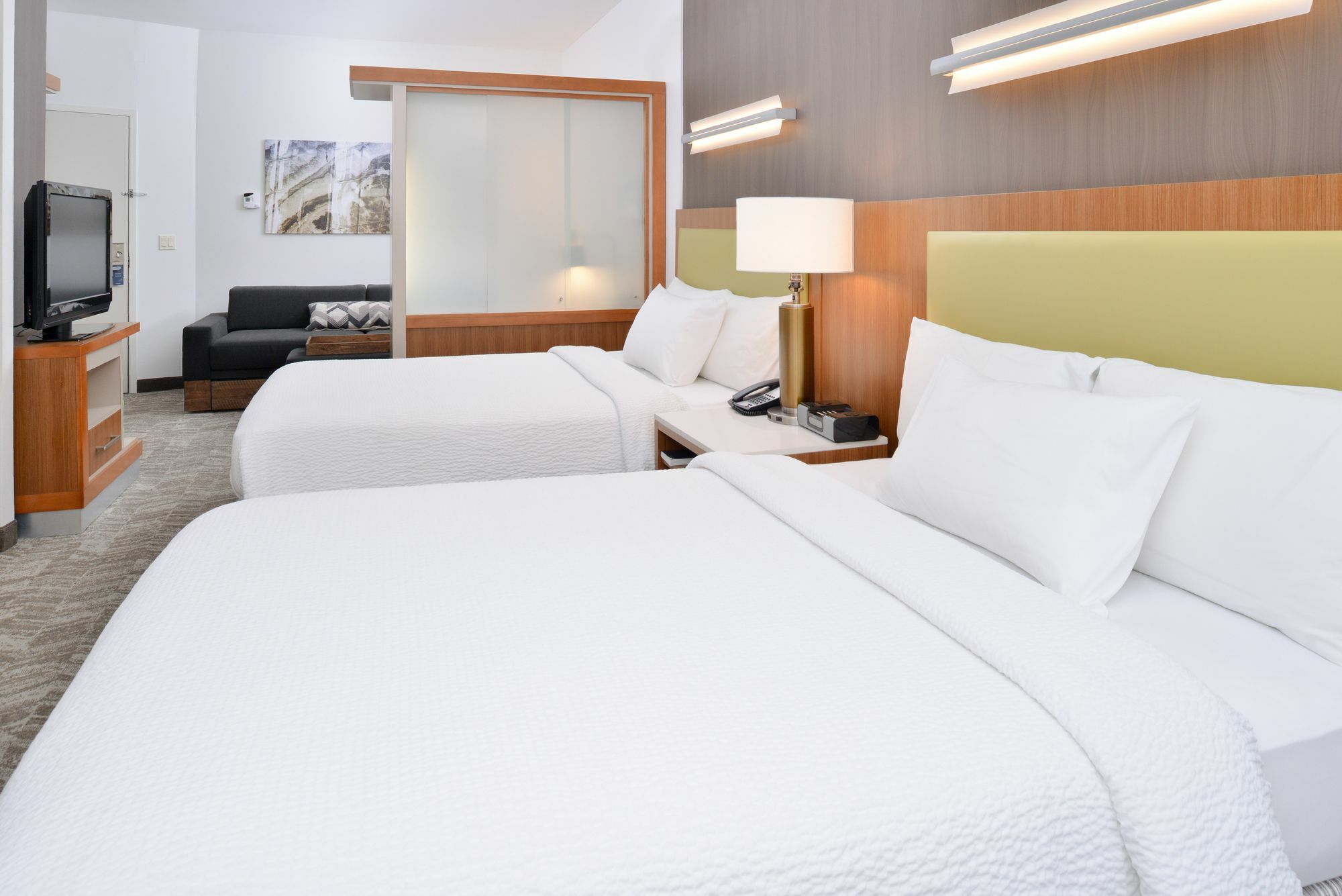 Springhill Suites Ashburn Dulles North Exterior foto